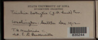Image Associated With the Occurence